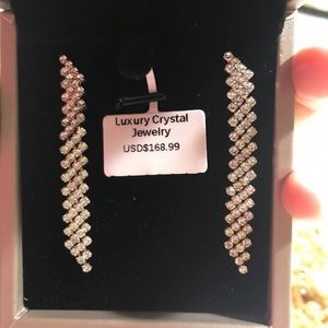 Pair of New Fancy Earrings